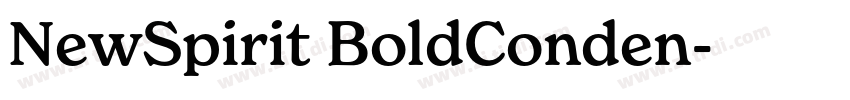 NewSpirit BoldConden字体转换